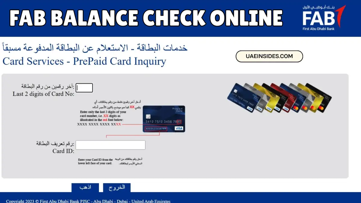 Fab Balance Check Online