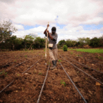 Farming in a Thirsty Century