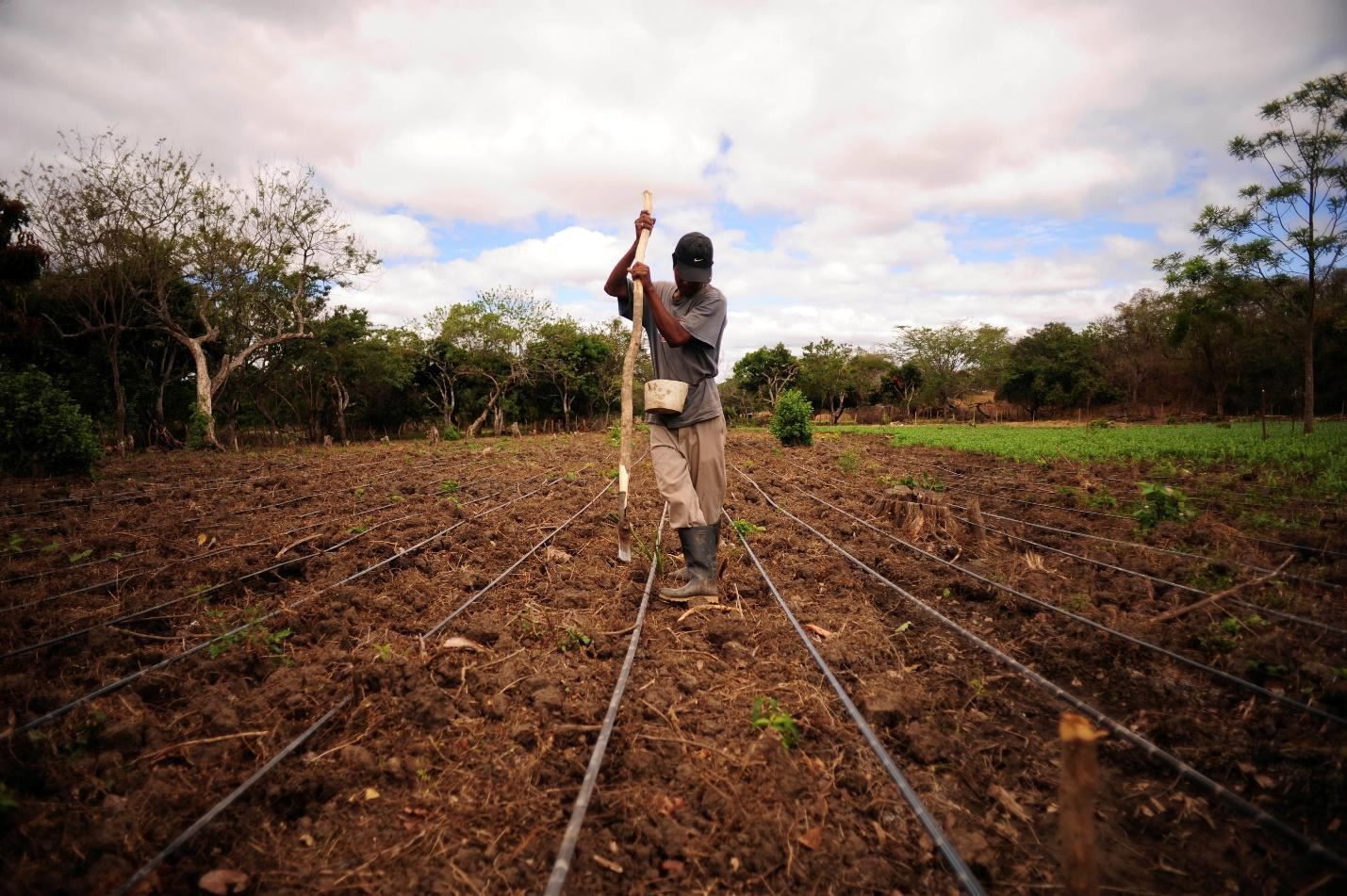 Farming in a Thirsty Century