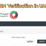 TRN Verification in UAE