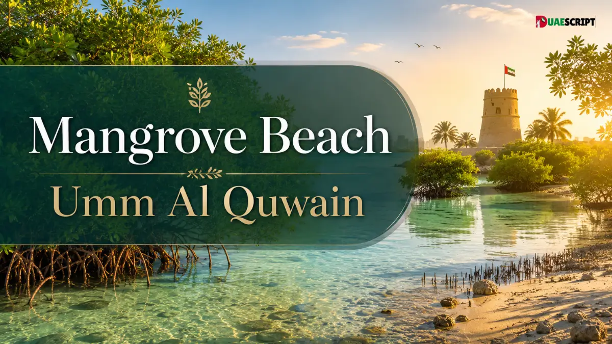 Mangrove Beach Umm Al Quwain