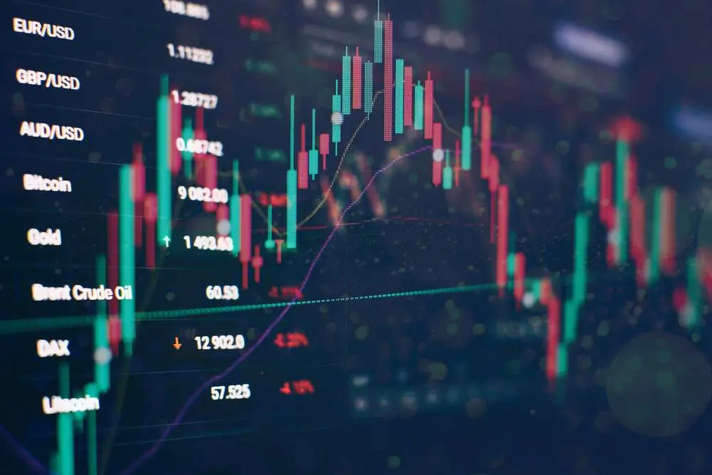 A Beginner's Guide to Forex Trading in the UAE 